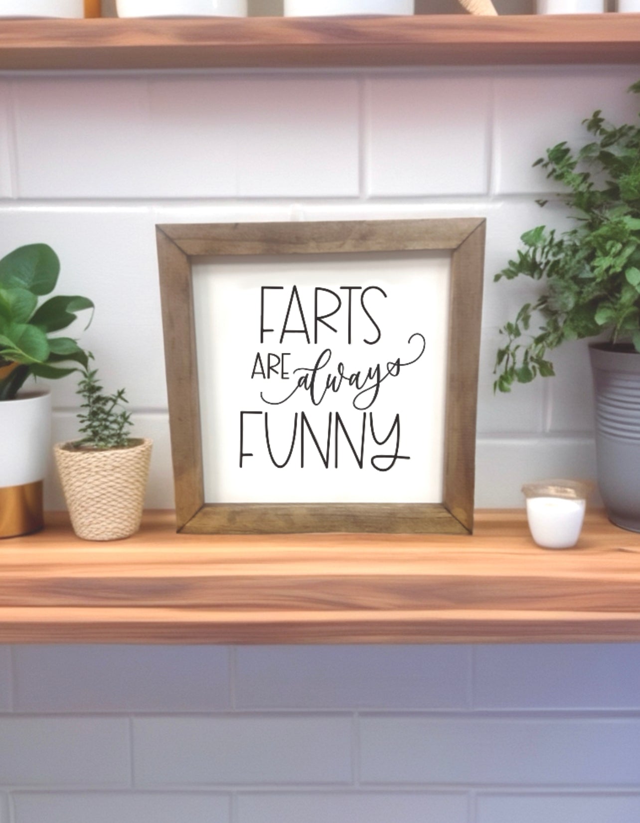 Framed sign with 'Farts are always funny' text on a wooden shelf with plants.