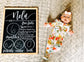 Handpainted Baby Milestone Chalkboard - Milestones Chalkboard, Custom Chalkboard Sign, Baby Milestones, Milestone Board